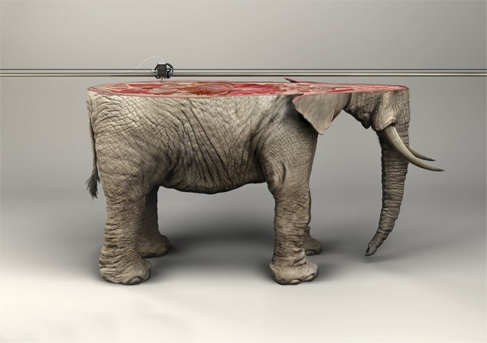Elephant being 3D printed with internal organs visible