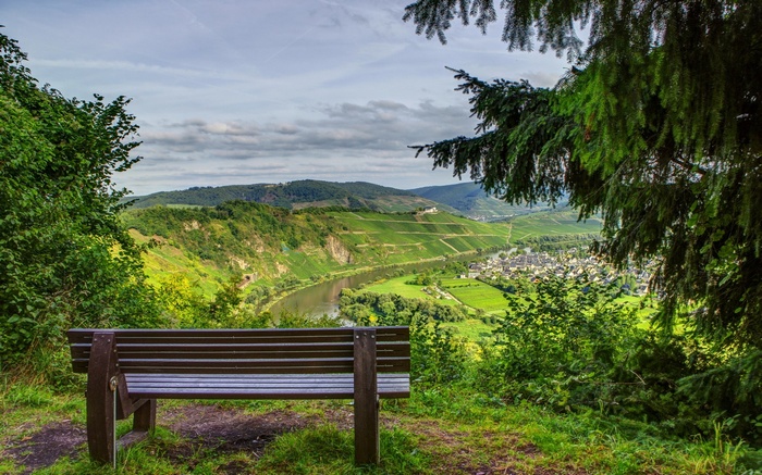 Bench overlooking a river valley with vineyards