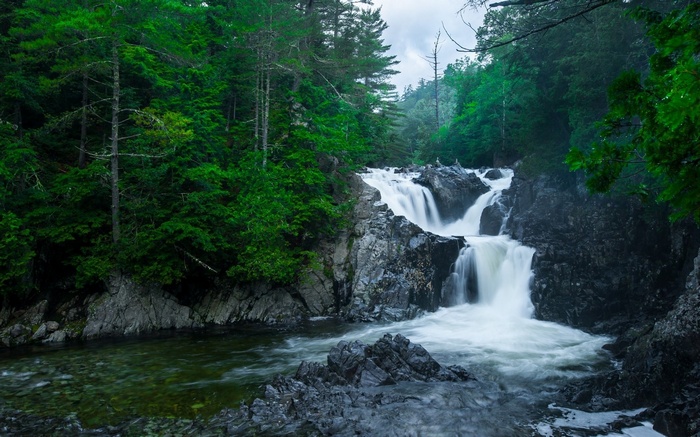 Waterfall cascading over rocks in a forest