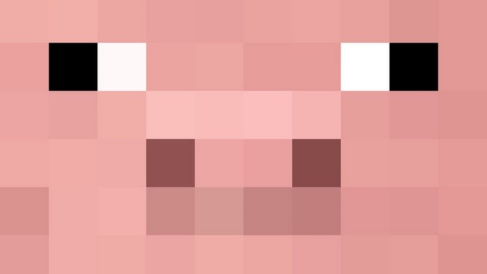Minecraft Pig Face