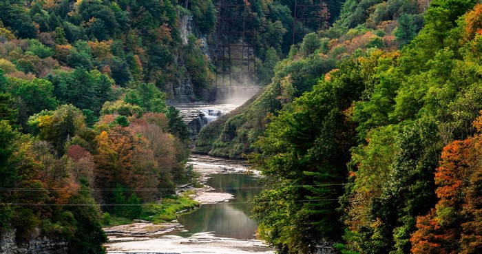 River flowing through a forest in autumn