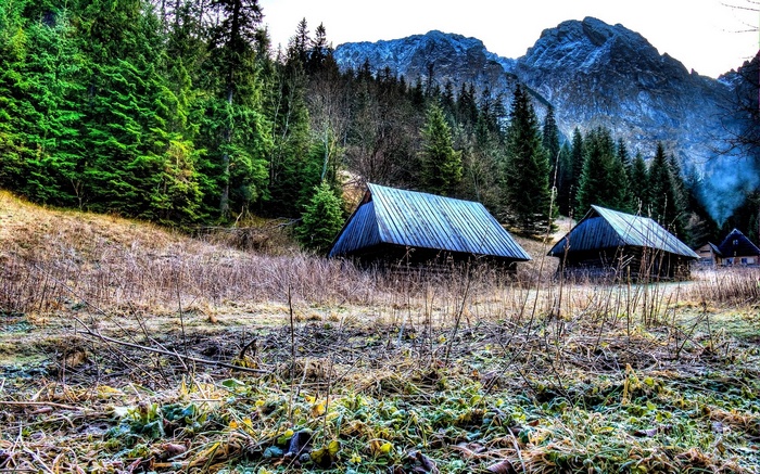 Wooden cabins in a forest with mountains