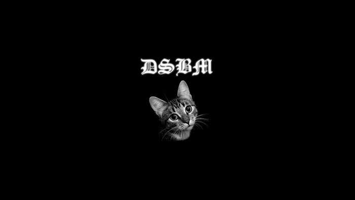 DSBM cat logo