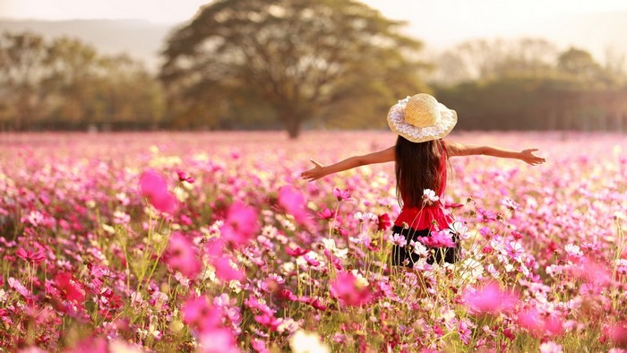 Woman in straw hat in a field of pink cosmos flowers