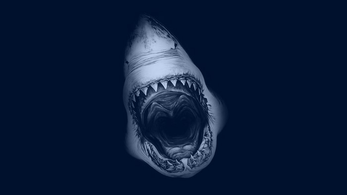 Great white shark with open mouth