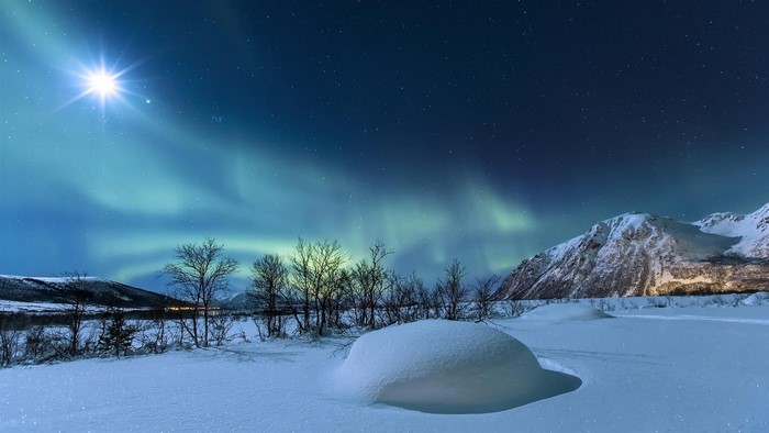 Norway Winter Night with Northern Lights