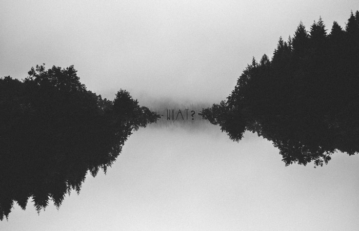 Monochrome forest reflection with "WHAT?"