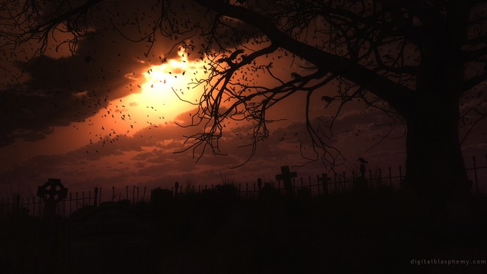 Cemetery at sunset with birds and tree