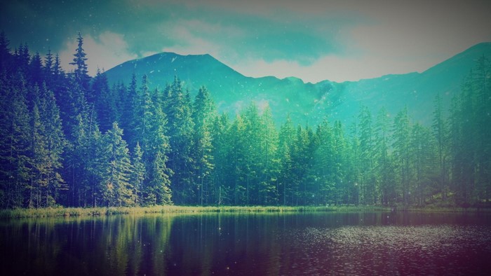 Lake and forest with mountains