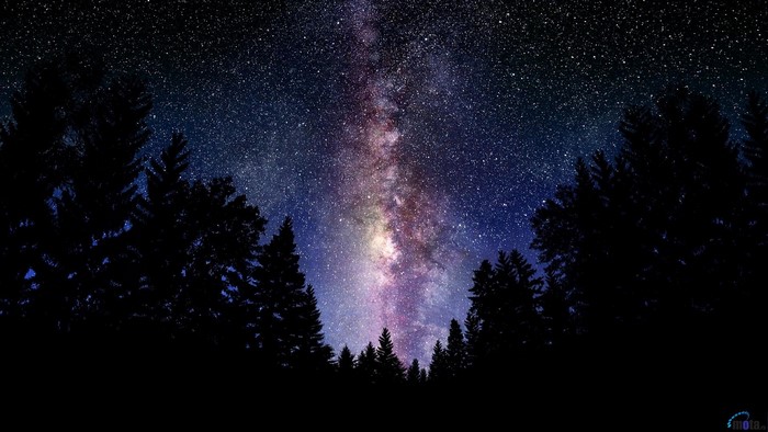 Milky Way galaxy over a dark forest silhouette