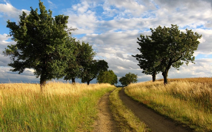 Dirt road through a field with trees and clouds