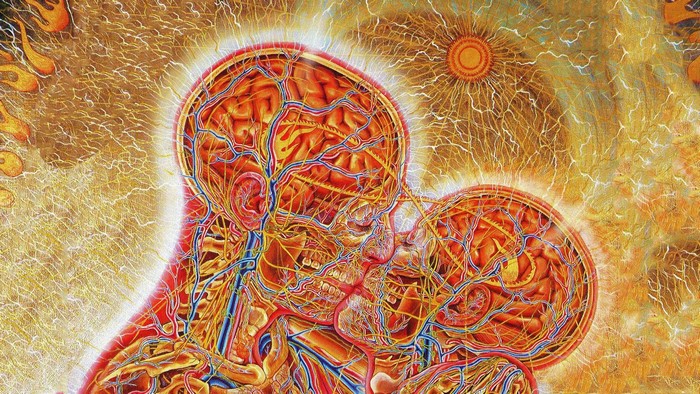 Surreal Kissing Couple with Exposed Brains and Veins