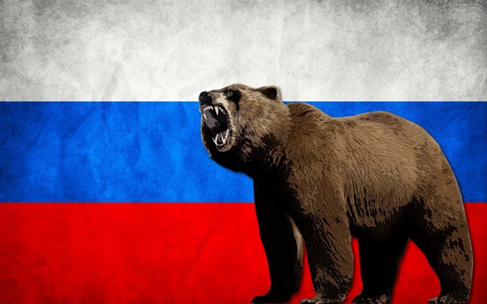 Bear in front of the Russian flag