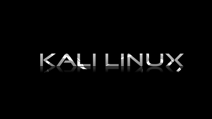 Kali Linux logo with reflection