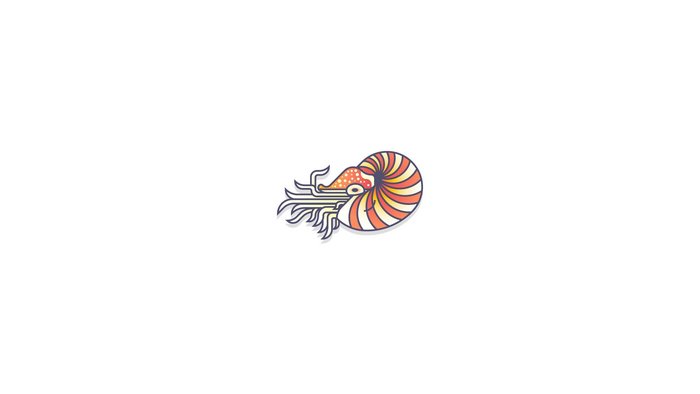 Nautilus illustration on white background