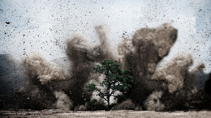 Explosion of dust and debris around a tree