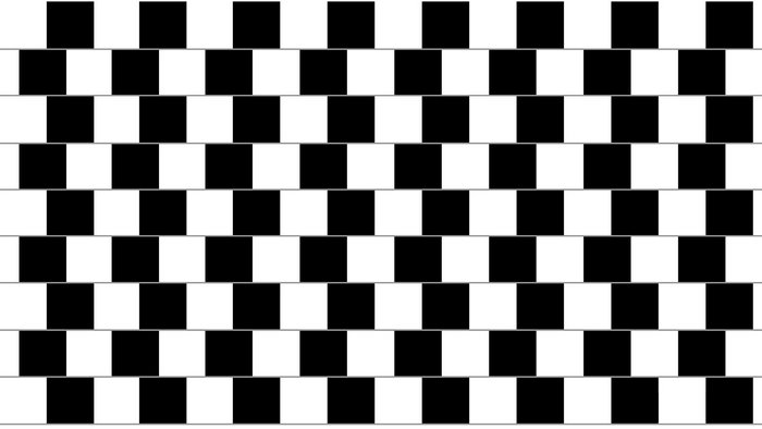 Optical illusion of staggered black and white squares