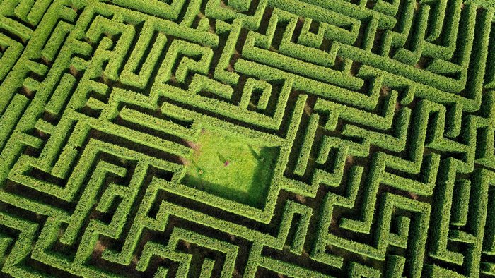Aerial view of a green hedge maze