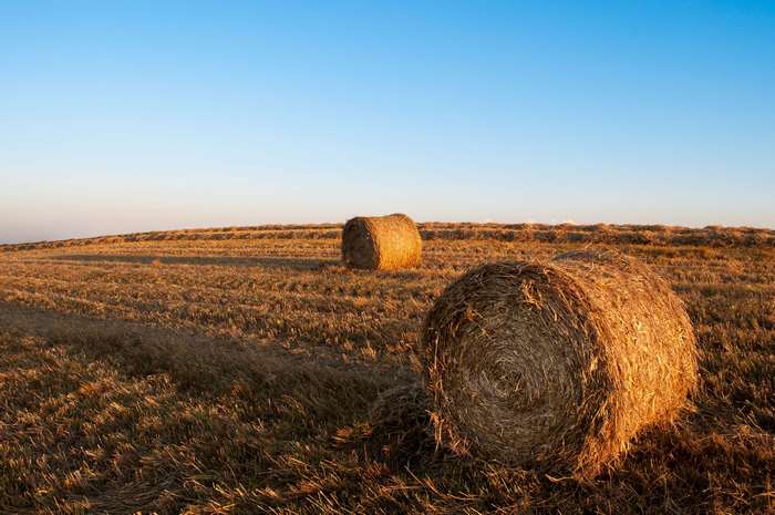 Hay bales in a field at sunset 4K