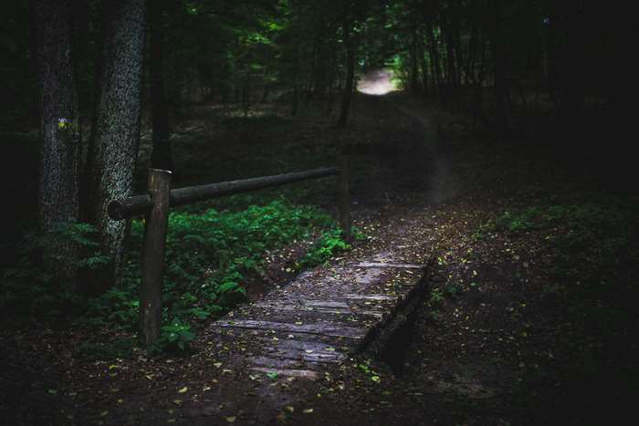 Wooden footbridge in a dark forest path 4K