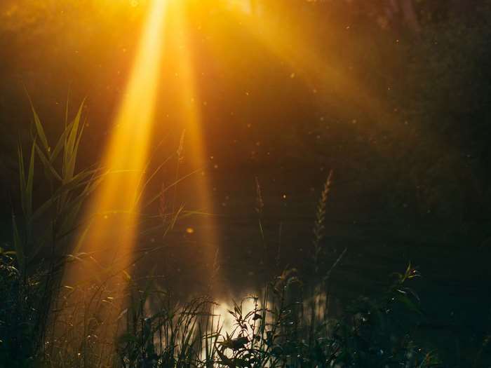 Sunbeams shining through dust particles over a lake