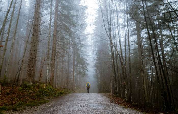 Man walking on a foggy forest path