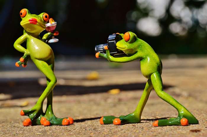 Two cute frog figurines, one with a drink, one with a camera