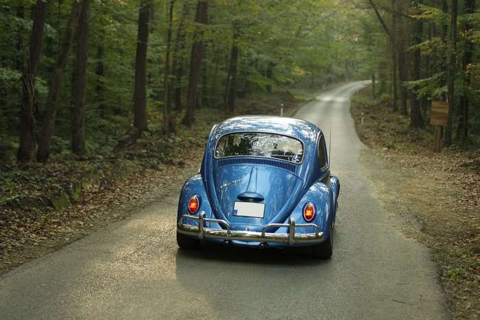 Blue Volkswagen Beetle driving on a forest road