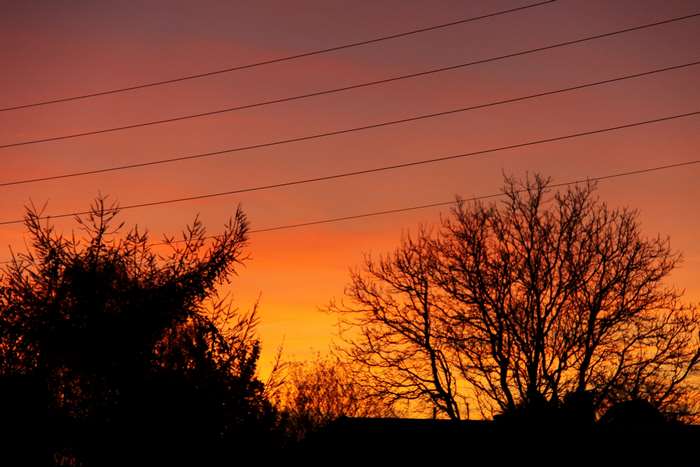 Sunset sky with silhouetted trees and power lines