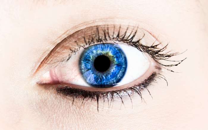 Close-up of a blue human eye with eyelashes