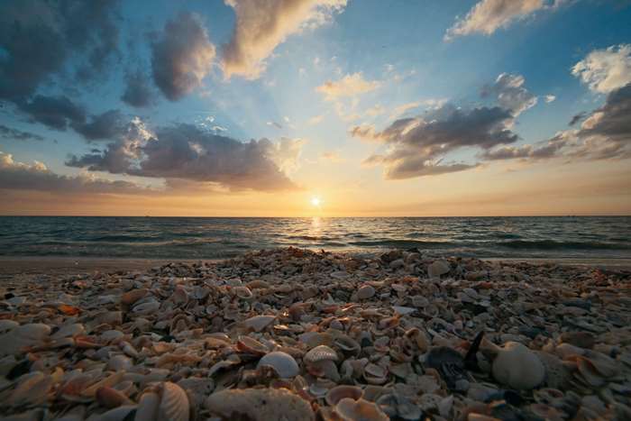 Seashell beach at sunset with ocean and clouds