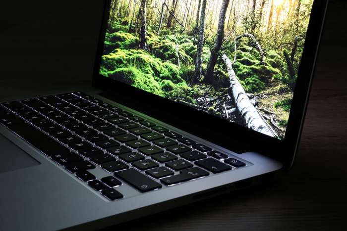 MacBook Pro with forest wallpaper