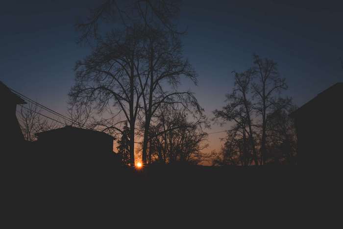 Silhouette of trees and houses at sunset