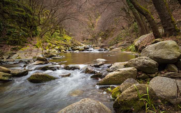 River flowing through a rocky forest in spring