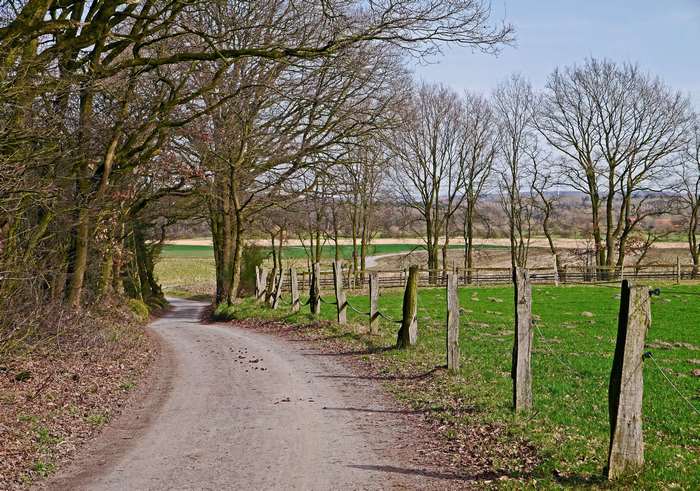 Dirt track through a rural landscape with trees and fields
