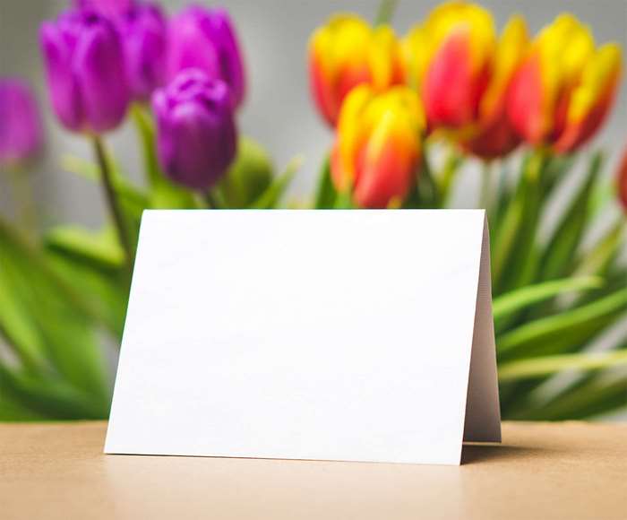 Blank greeting card with tulips