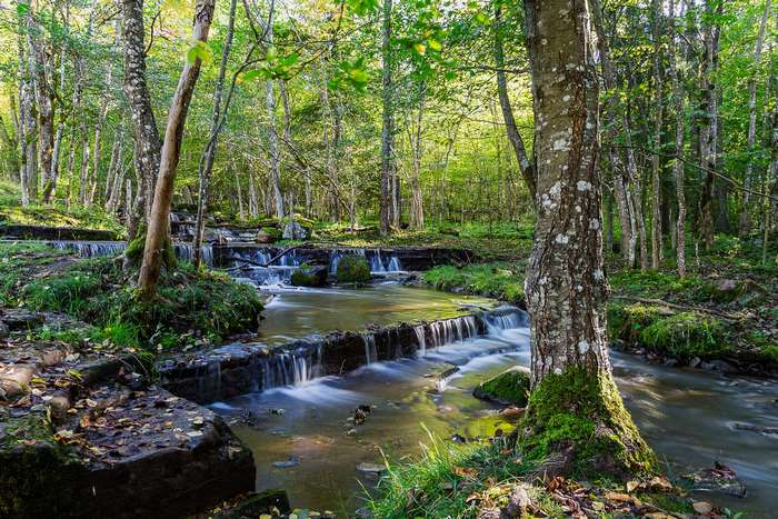 Forest stream with waterfalls and long exposure effect