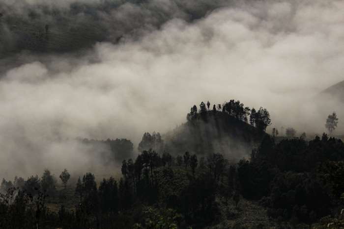 Misty forest landscape in Indonesia