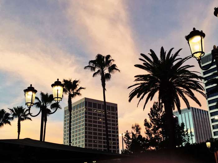 Palm trees and buildings at sunset in Los Angeles