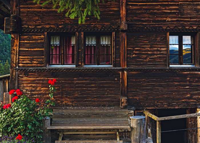 Rustic wooden cabin with red roses and a bench