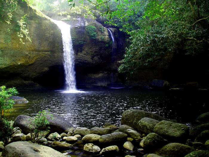 Waterfall cascading into a dark pool in a lush forest