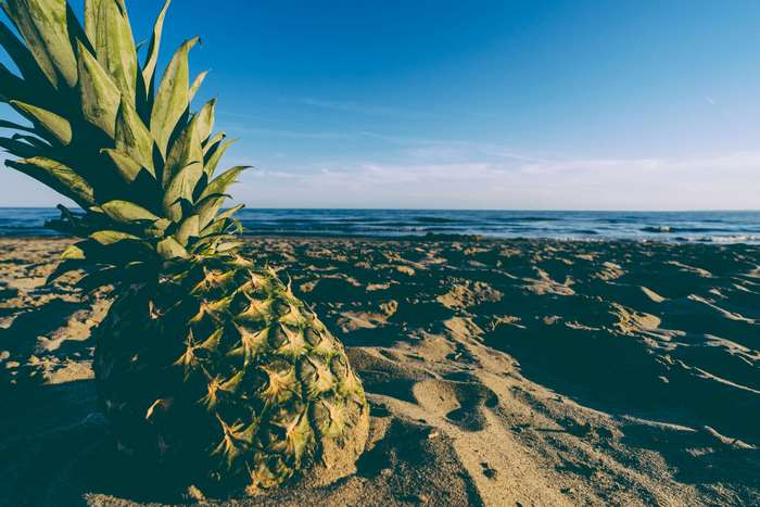 Pineapple on a sandy beach with ocean and blue sky
