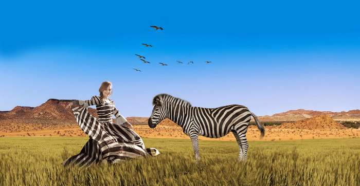 Woman in striped dress with zebra in savannah 4K