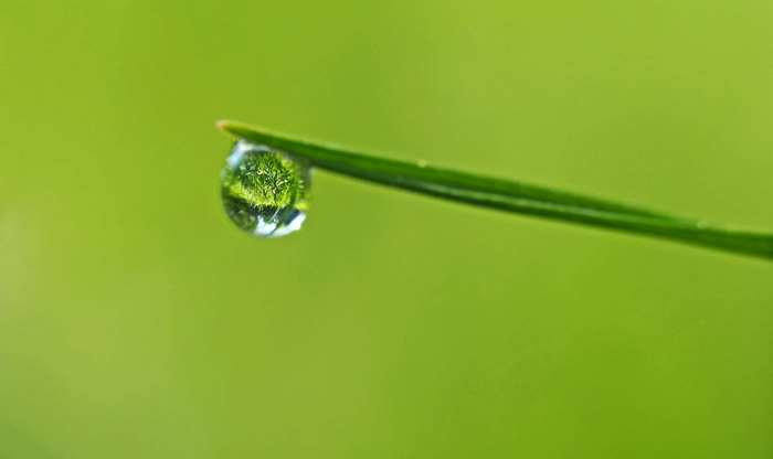 Close-up of a dewdrop on a blade of grass