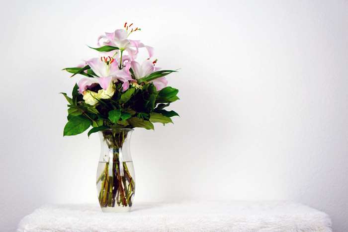 Pink lilies in a glass vase on a white surface