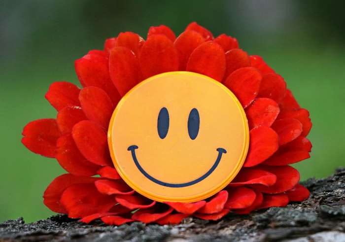 Smiley face on a red flower
