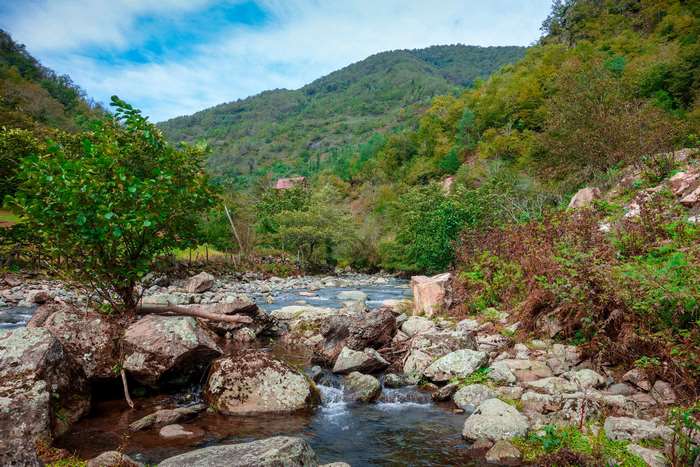 River flowing through a rocky mountain landscape with trees
