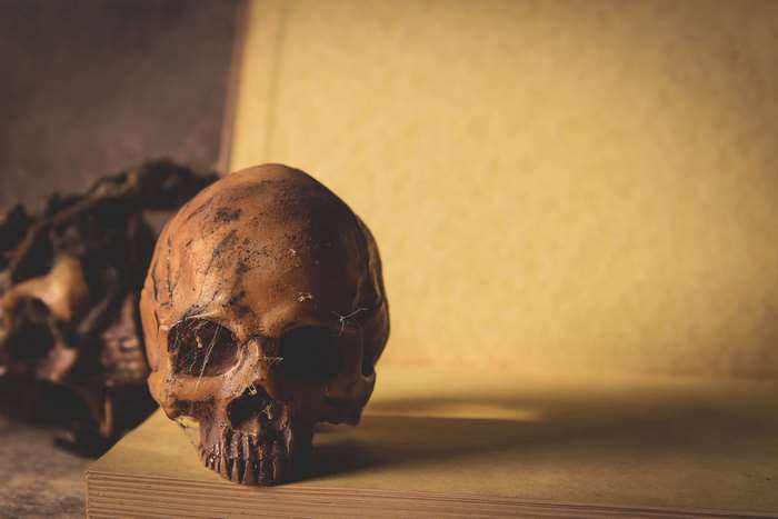 Skull on an old book with a vintage background