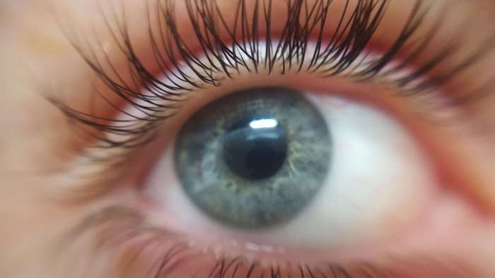 Close-up of a blue eye with long eyelashes