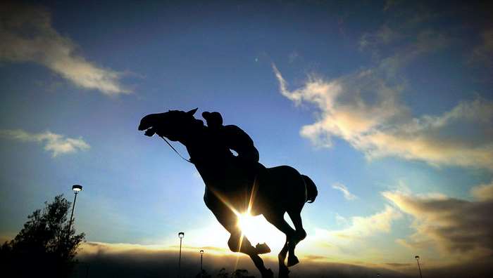 Silhouette of a jockey riding a horse against the sky
